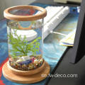 Liten glas akvarium bambu bas mini fiskbehållare